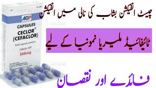 Ceclor capsule Slate Cefaclor uses side effects how to use in Urdu  Hindi cefaclor capsule [upl. by Alih]