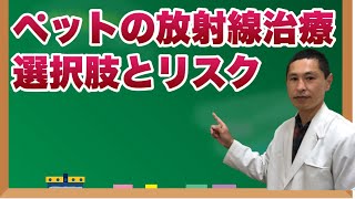 ペットのがん治療における放射線療法：選択肢とリスクの詳細【獣医師解説】 [upl. by Arivle]