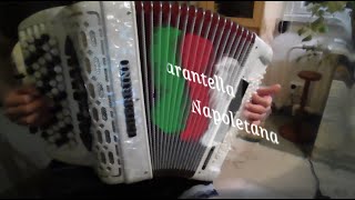 Tarantella Napoletana  Accordion solo [upl. by Mcintyre]