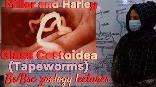 Class Cestoidea  Tapeworms  Phylum platyhelminthes  Characteristics of tapeworms Bsbsc Zoology [upl. by Eniamaj]