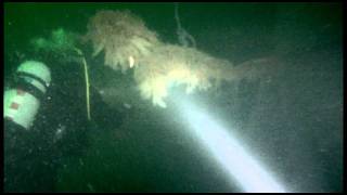 Diving the wreck of the SS Breda Ardmuckunish Bay Oban  28th August 2011 [upl. by Sully317]