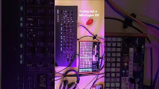 Playing with a Minilogue XD module via the Synthstrom Deluge miniloguexd Deluge synth [upl. by Skricki948]