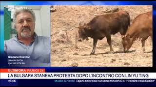 Rainews24 intervista Scardino sulla siccita in Sicilia [upl. by Arihay]