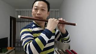 E key dizi flute Chinese bamboo flute practice Dan Tang [upl. by Florencia29]