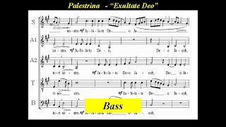 Bass  Palestrina  Exultate Deo [upl. by Ripleigh]