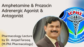 Amphetamine amp Prazocin  Adrenergic agonist amp Antagonist  Pharmacology lecture [upl. by Arratoon474]