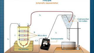 Thermoelectric Thermometer [upl. by Damha]