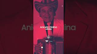 Aniceto Molina LA BALEADA anicetomolina cumbia navidad 2024 shorts parati [upl. by Enyawal]