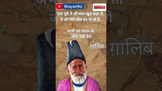 एक मुर्दे ने भी क्या खूब कहा है  गालिब शायरी Ghalib Shayari  ग़ालिब की शायरी Shayari 4U [upl. by Eneleh]