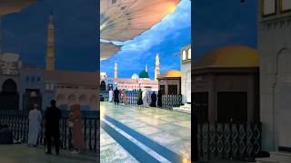 Shayari mustfa hai madina Kareebtrending vairalshort new islamic shorts ytshorts video 2024 [upl. by Retsub]