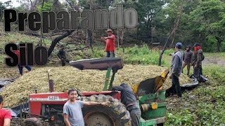 Haciendo Silo De Maíz 🌽  Silo Para Ganado 🐄🐃🐂 2020  Emilson Lainez [upl. by Marcelle604]