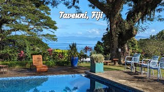 Taveuni Fiji  Taveuni Dive Resort [upl. by Rinaldo968]