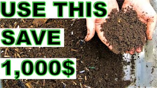 How to save 1000 with Compost Worms  Red Wigglers [upl. by Llenyaj]