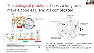 Cytoplasmic Maturity and the Acquisition of Developmental Competence in the Human Oocyte [upl. by Mechelle]