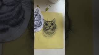 Practice Tattooing fake skin CAT TATTOO  Step by Step tutorial beginner [upl. by Niel]