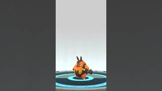 Evolving Tepig [upl. by Bryn]