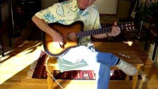 Mrs Brown Youve Got a Lovely Daughter  Guitar Finger Picking Solo  Jim Wright [upl. by Amandi845]