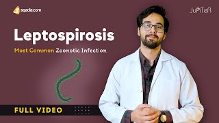 Leptospirosis Pathophysiology and Treatment  Microbiology Video Lecture [upl. by Yesnek]