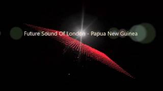 Future Sound Of London  Papua New Guinea [upl. by Nwatna523]