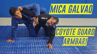 Mica Galvao  Half Guard Armbar [upl. by Clynes748]