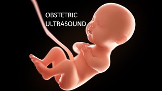 OBSTETRIC ULTRASOUND  MORPHOLOGY SCAN AND SECOND TRIMESTER [upl. by Martinson797]