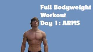 Full Bodyweight Workout Day 1 ARMS [upl. by Neelav]