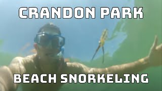 Crandon Park Beach Snorkel Key Biscayne [upl. by Gaskill453]