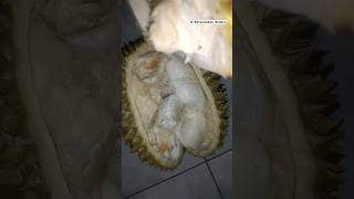 Belah duren enak rasanya belahduren fyp [upl. by Sarazen]