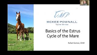 Dr Gomez Webinar Part 1 Basics of the Estrus Cycle [upl. by Ahsihat]