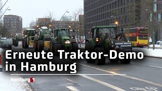 Landwirte setzen Proteste fort  Weitere Demos im Hamburger Hafen [upl. by Walcoff521]