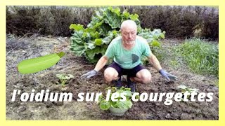 loïdium comment soigner pour les courgettes et potirons [upl. by Kosaka]