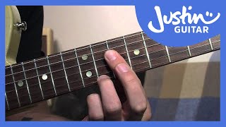 How to Play Dominant 7th Chord Grips  Blues Rhythm Guitar Lessons BL205 [upl. by Oirottiv192]