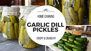 The best GARLIC DILL PICKLES recipe [upl. by Anaihsat557]