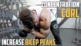 Concentration Curls for Bicep PEAKS  Exercise Tutorial [upl. by Holihs]