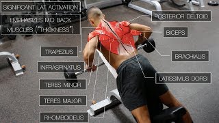 The Best ScienceBased Back Workout TARGET EVERY MUSCLE [upl. by Marolda]