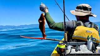 Bottom Fishing from Kayak  Washington Coast Neah Bay [upl. by Granese]