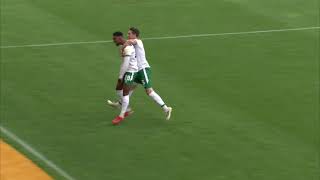 Newport County v Walsall highlights [upl. by Isdnyl]