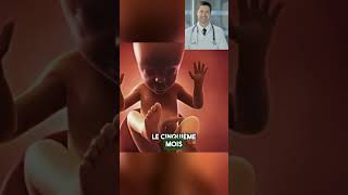 L’évolution en 9 mois du bébé pendant la grossesse 👶 bebe foetus grossesse enceinte futureme [upl. by Avruch]