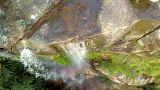 AMERICA BAY WATERFALL KURINGGAI CHASE NATIONAL PARK [upl. by Newcomb552]