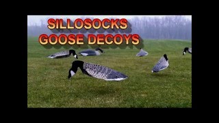 Sillosocks Canada Goose Decoys [upl. by Colet]