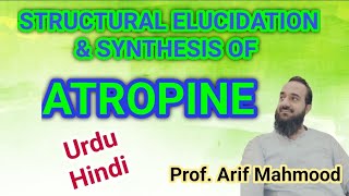 ATROPINE  Structural Elucidation and Biosynthesis of Atropine English Hyoscyamine [upl. by Fuchs]