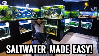 Saltwater Aquariums Are EASY Guide to Setting up a Saltwater Fish Tank [upl. by Nnylirak]