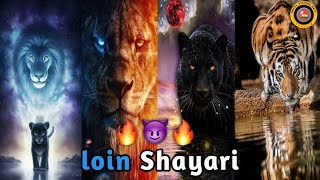 शेर की शायरी  best shayari in 2023😈lion shayari🦁attitude status🥶 shero wali shayari🔥🦁 [upl. by Annoved]