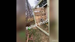 Pallet shed [upl. by Omer]