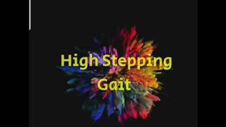 High stepping Gait explainedGait analysis [upl. by Nicram]