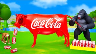 Gorillas CocaCola Cow  Funny Cow giving Coco Cola Drinks  3D Cartoons Funny Animals Videos [upl. by Noryb]