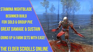 ESO Stamina Nightblade Beginner PVE Build [upl. by Kippie]