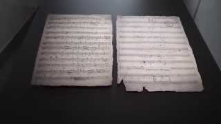 Johann Georg Lang  Sinfonia in D [upl. by Yllim]