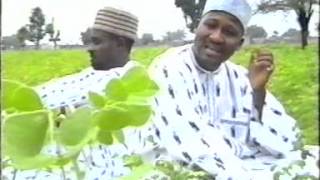 Fati  Hausa Movie Song [upl. by Annelg]