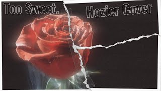 Too Sweet Hozier Cover unreleased [upl. by Annoya270]